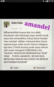 Amandel 1 sembuh oleh milagros