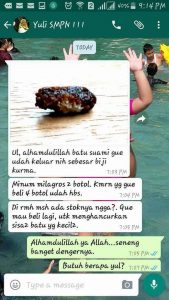 batu ginjal sembu oleh milagros